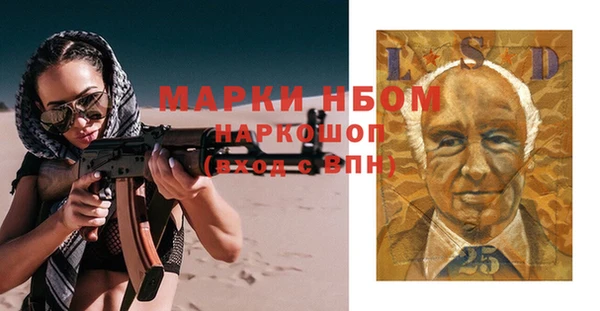 индика Киреевск